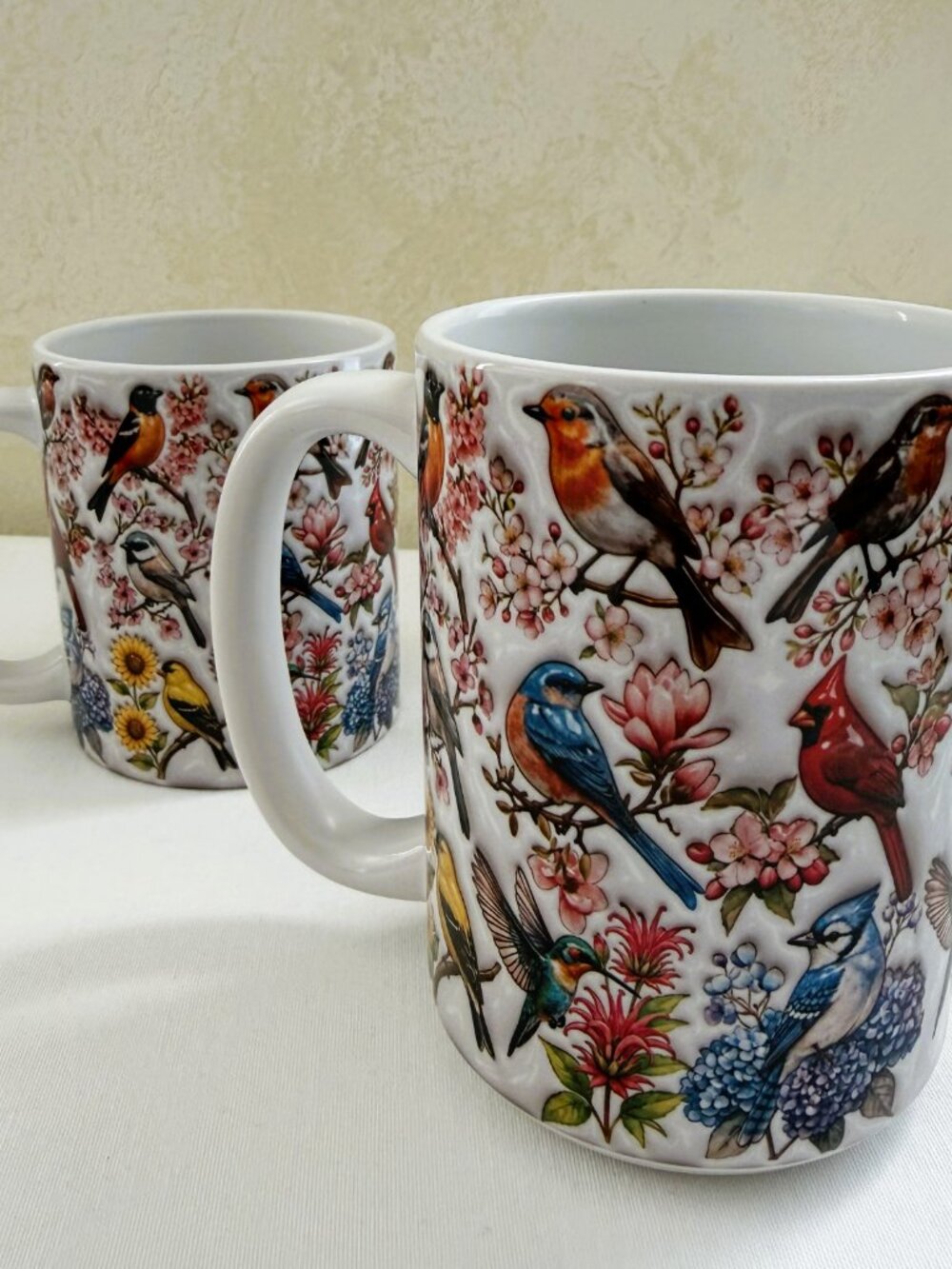 Backyard Birds Ceramic Mug Set Songbird Lover Gift 11 oz and 14 oz